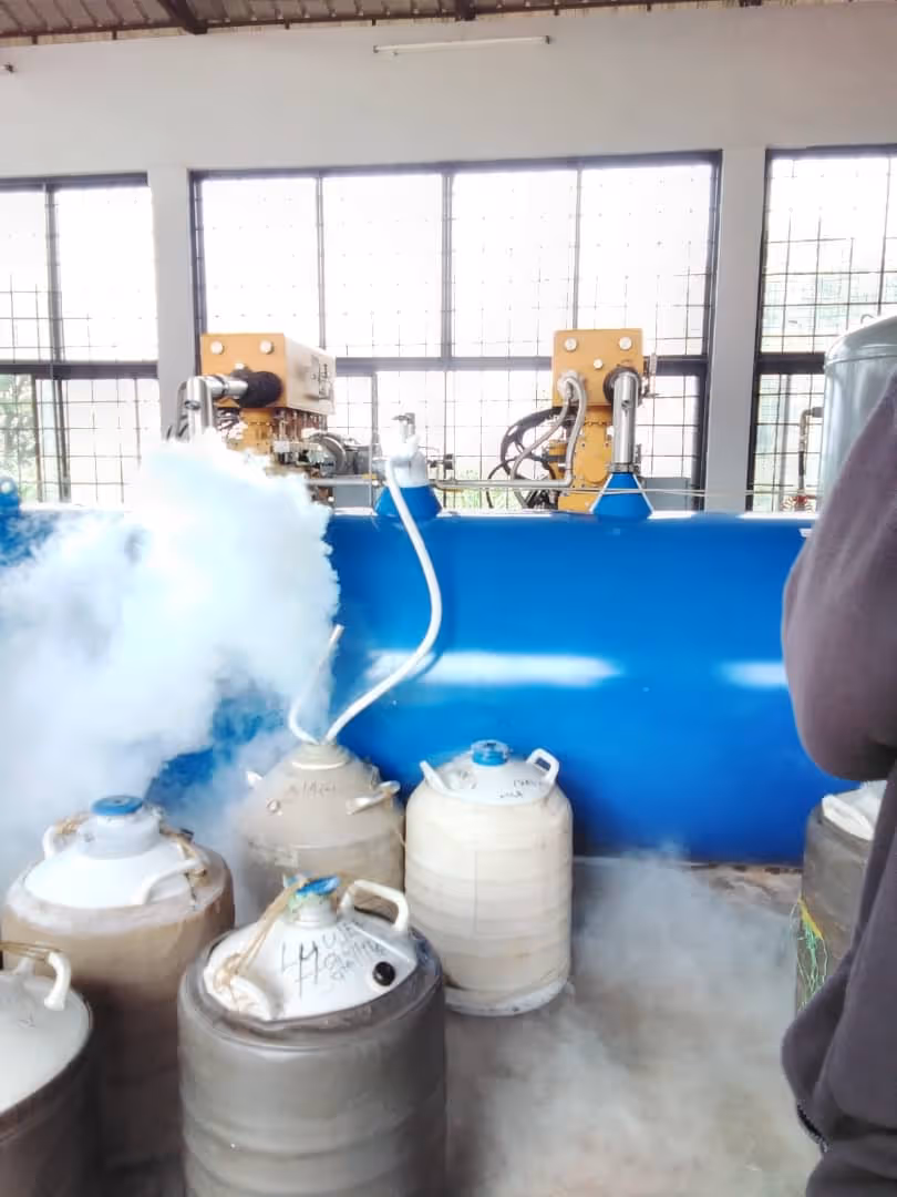 Liquid-Nitrogen-refill-process-at-shammah-gas-and-general-ltd
